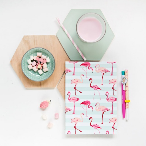 Cuaderno &laquo;Flamingos&raquo; (5 ud)